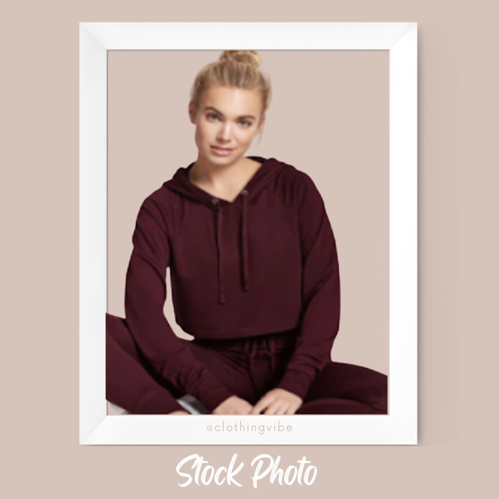 L | Maroon Crop Sweatshirt